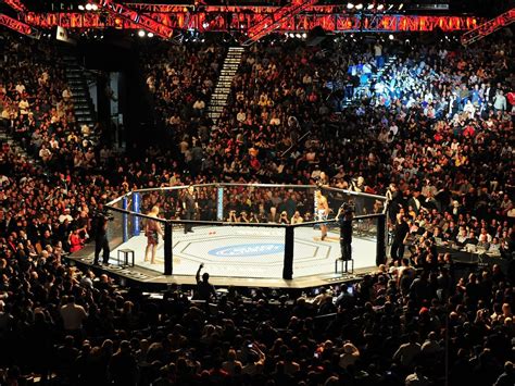 best betting sites for mma